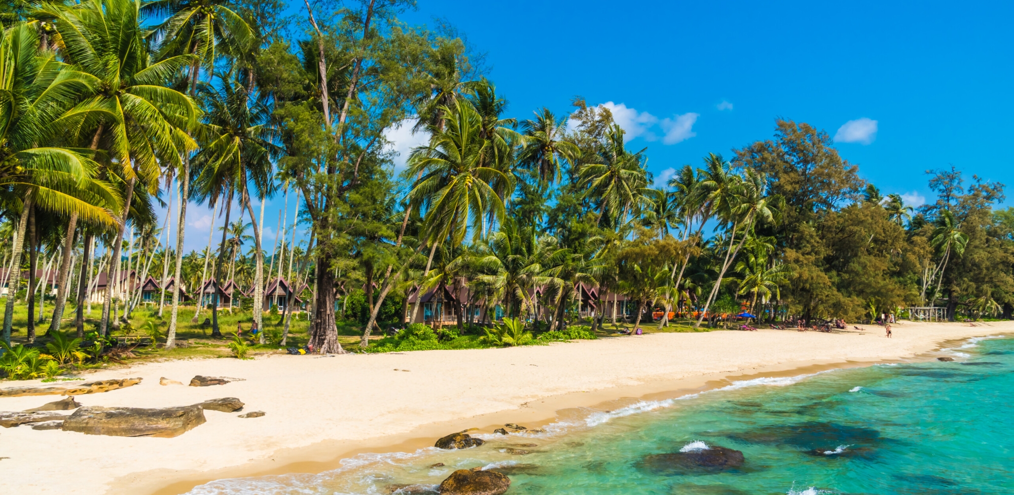 Beautiful tropical beach and sea with coconut palm tree in paradise island - Holiday Vacation concept